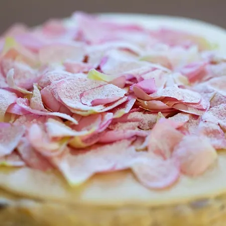 Europa Design 1877 Рапалло